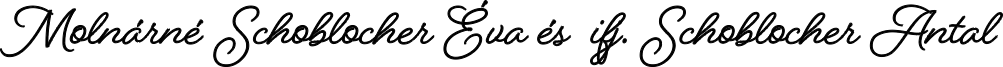 cégvezetők Aláírása